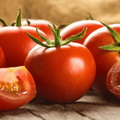 Ace 55 Tomato Seeds - Heirloom, Non-GMO, Resistant to Cracking, Indeterminate, American Grown, 50 Seeds
