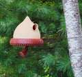 Acorn Birdhouse | Hanging Outdoor Bird Shelter | Weatherproof & Easy to Clean