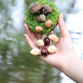 "Acorn Family" Moss Forest Fridge Magnet