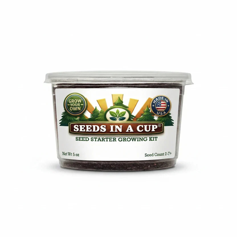 Eggplant Grow Kit | Grow Eggplant from Seed | Seeds In A Cup®