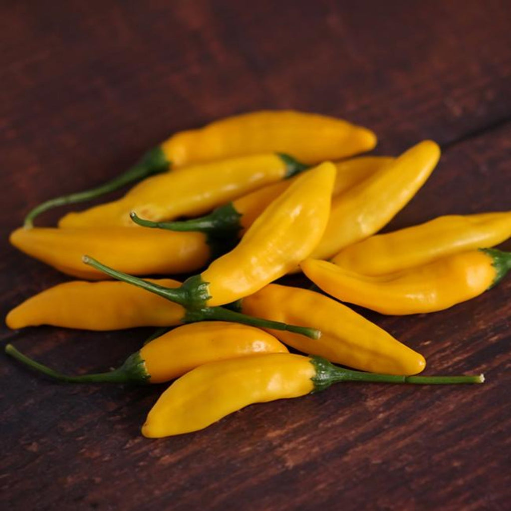 Lemon Drop (Aji Lemon) Pepper Seeds