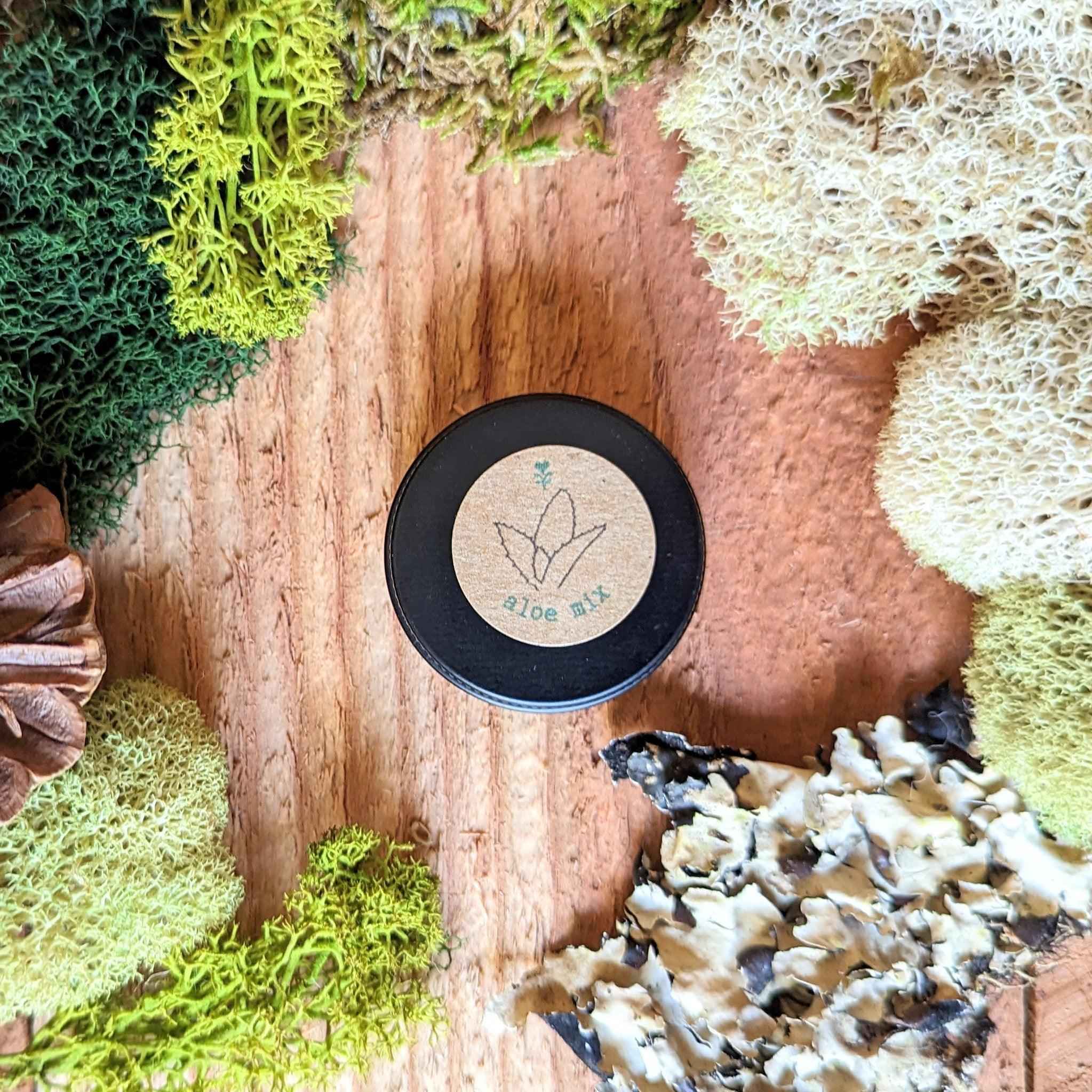 Aloe Mix Seeds