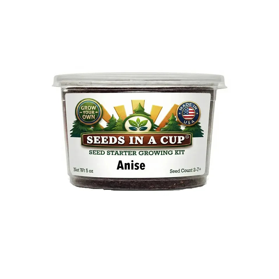 Anise Grow Kit | Grow Fresh Anise from Seed | Seeds In A Cup®
