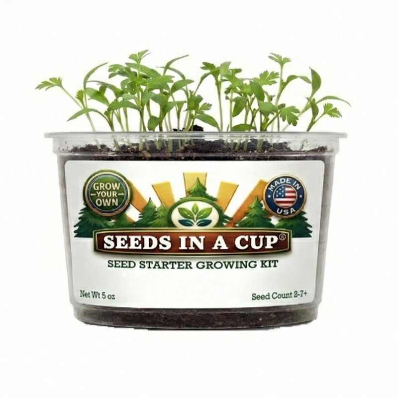 Zucchini Grow Kit | Grow Zucchini from Seed | Seeds In A Cup®