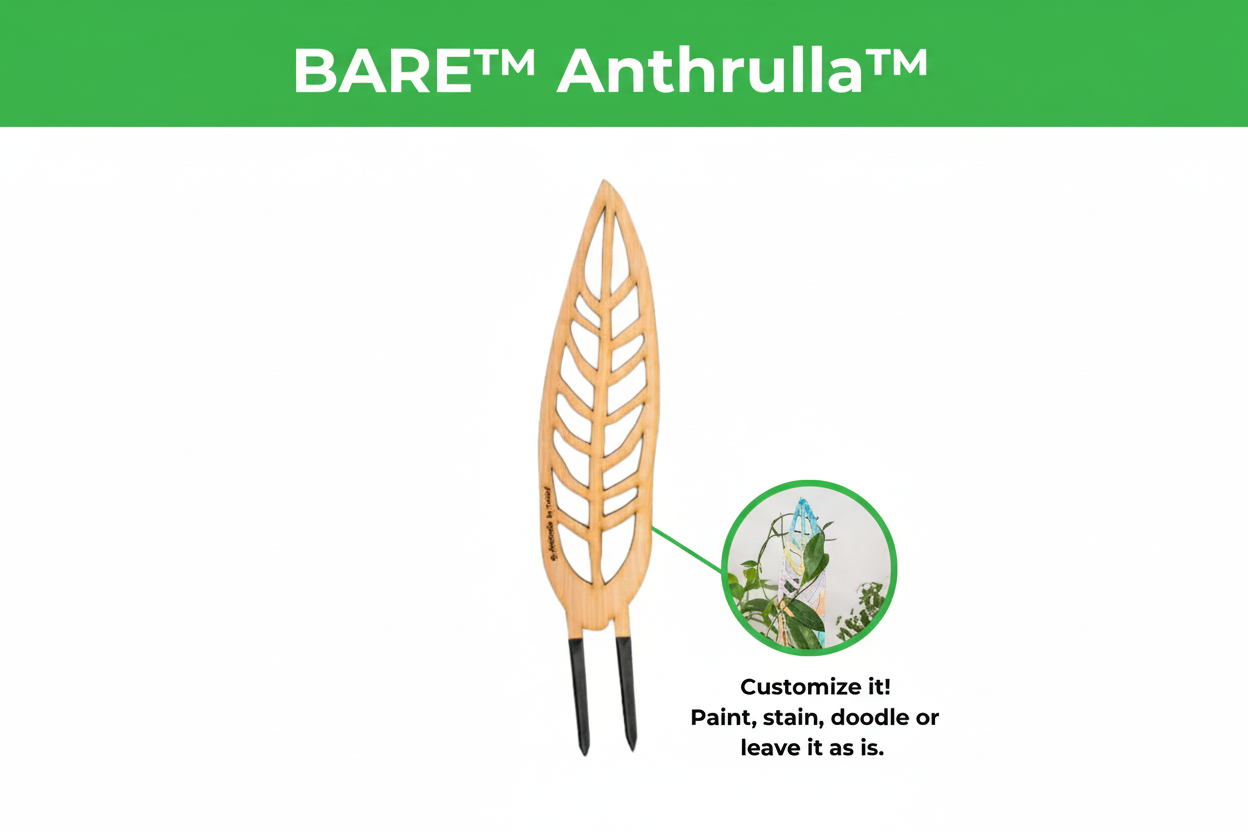 BARE™ Anthrulla™ - Customizable wooden plant support - Inspired by the Queen Anthurium leaf