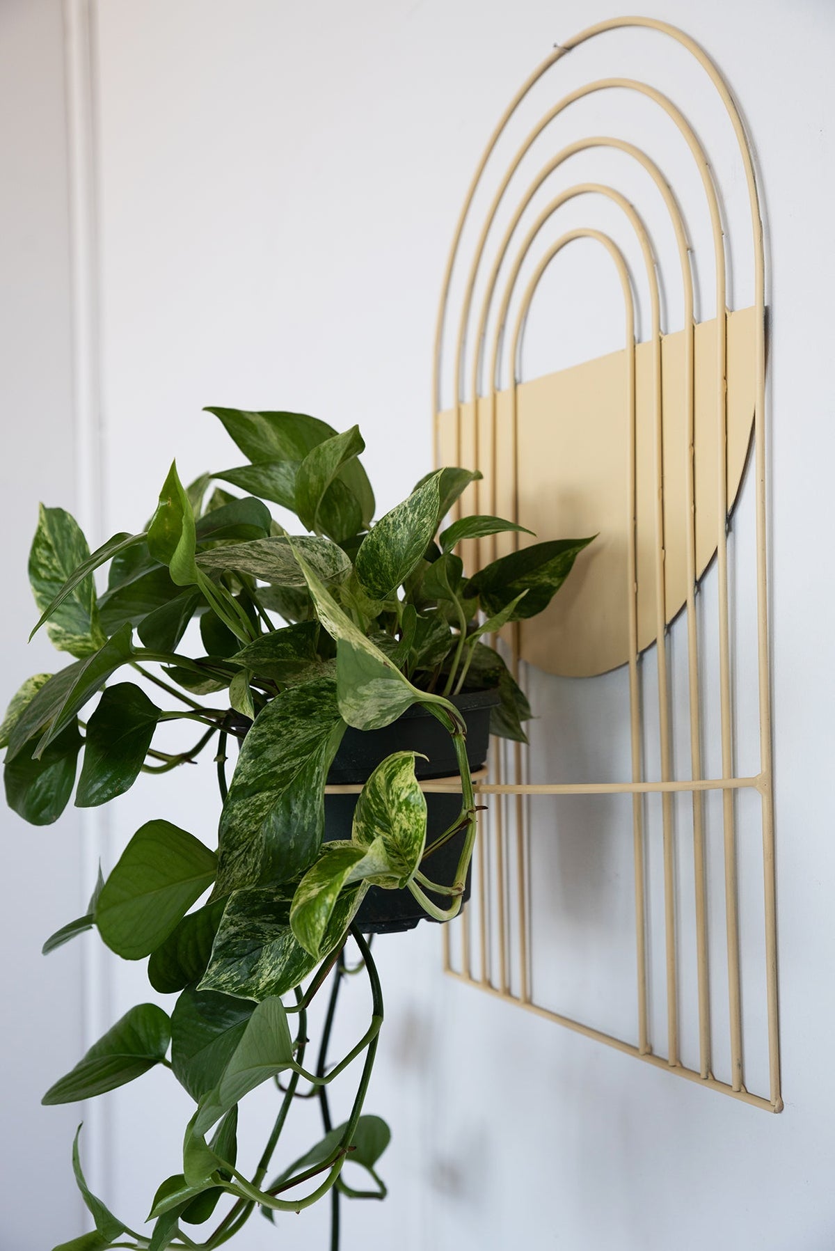 Arches Wall Planter