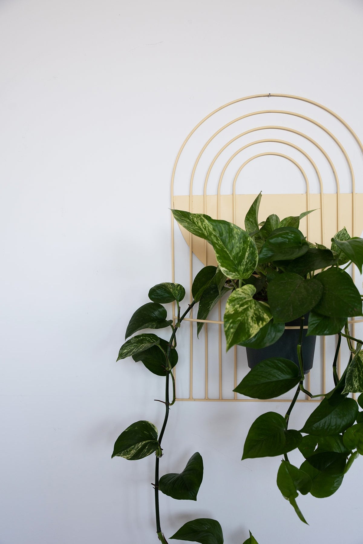 Arches Wall Planter