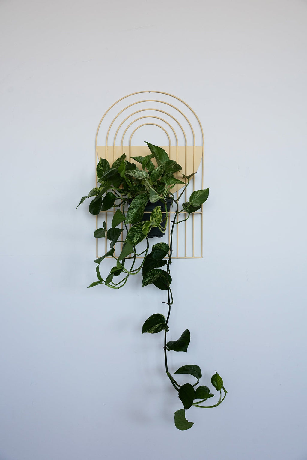 Arches Wall Planter
