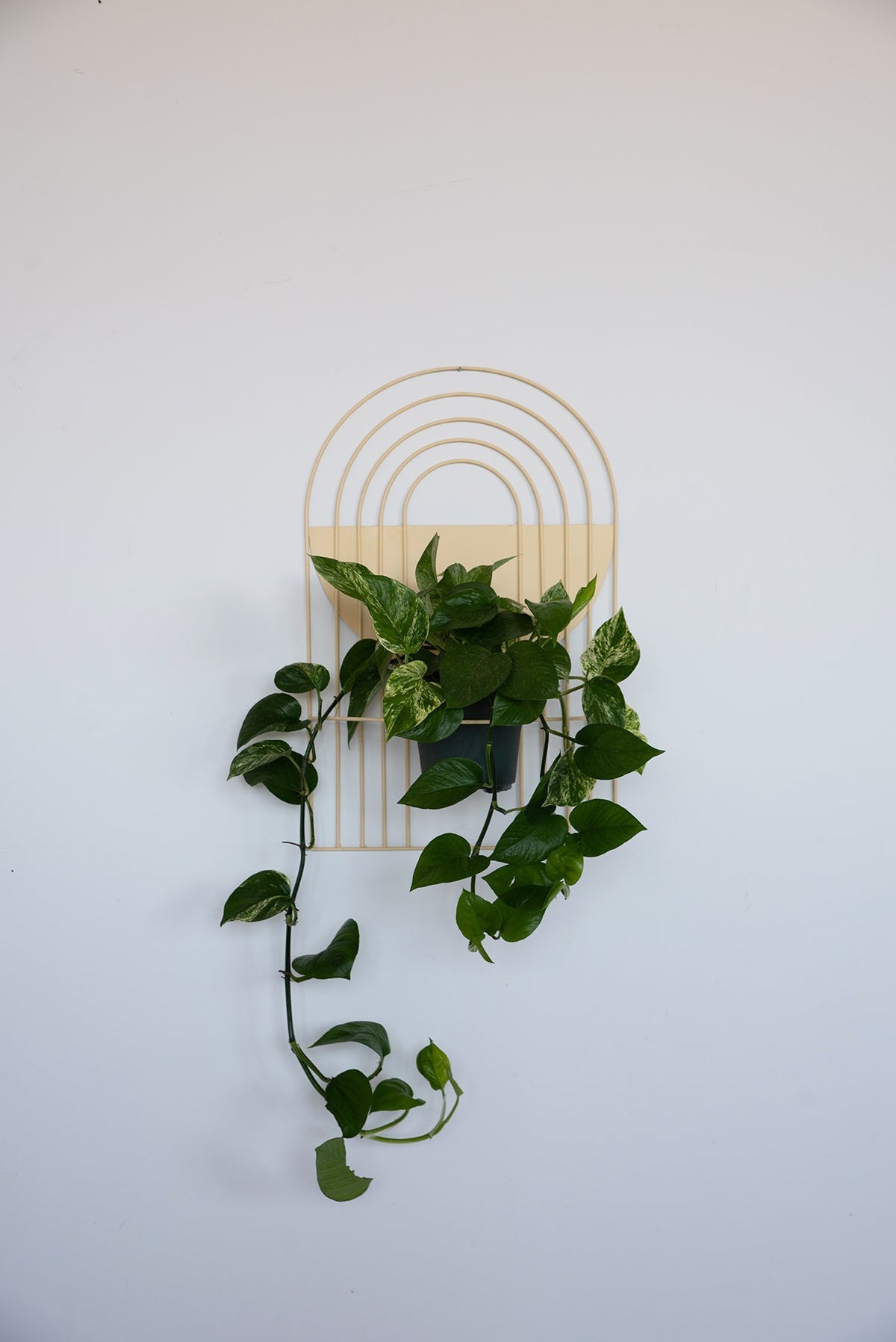 Arches Wall Planter