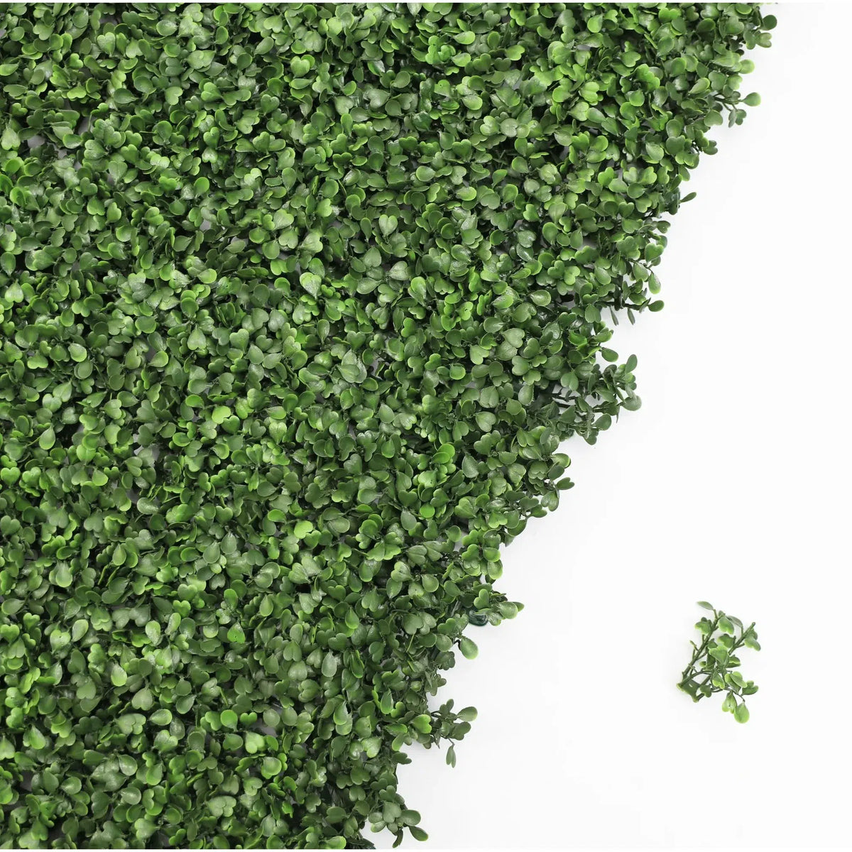 Sample Panel – Dark Boxwood Green Wall (Small Sample)