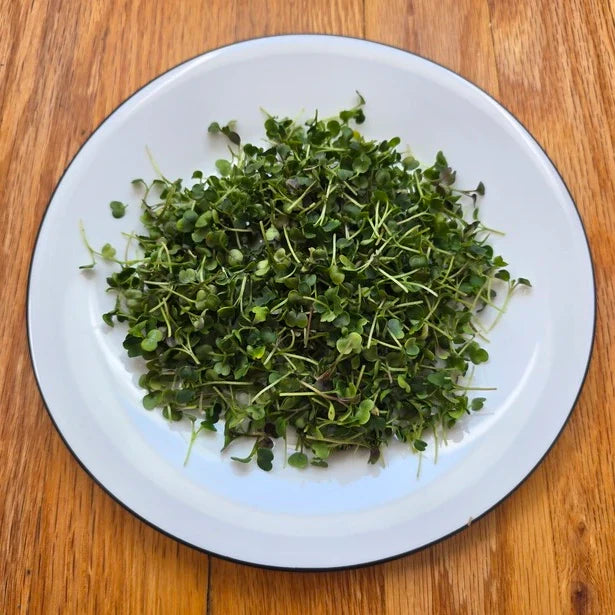 Arugula
