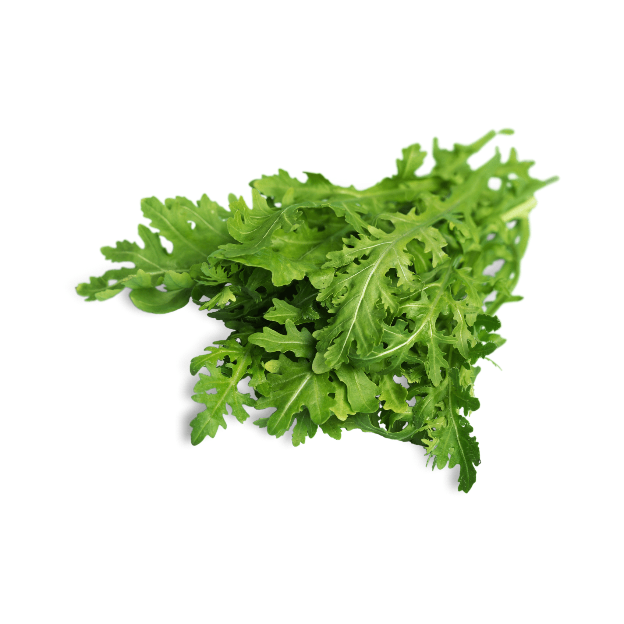 Arugula Seeds