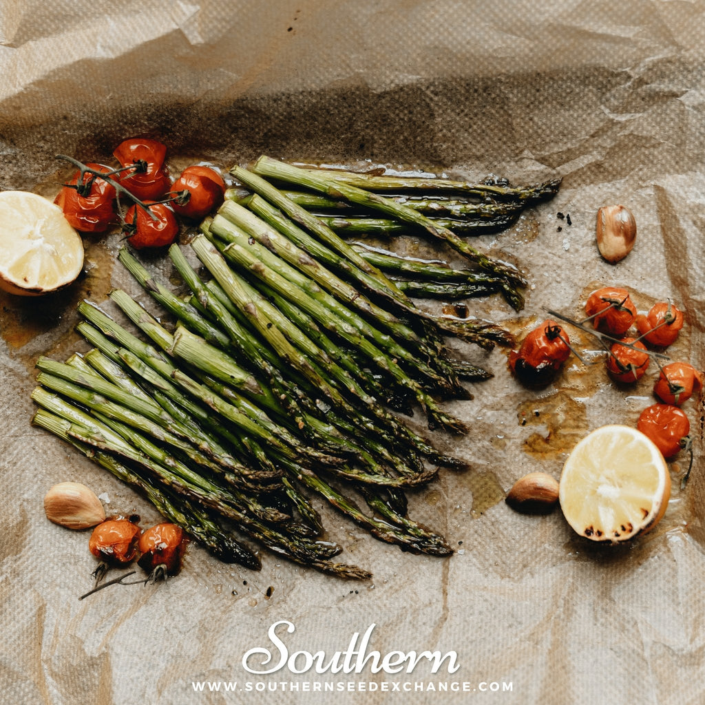 UC72 Asparagus – 50 Seeds