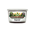 Dogwood Tree Grow Kit | Grow Flowering Dogwood from Seed | Seeds In A Cup®