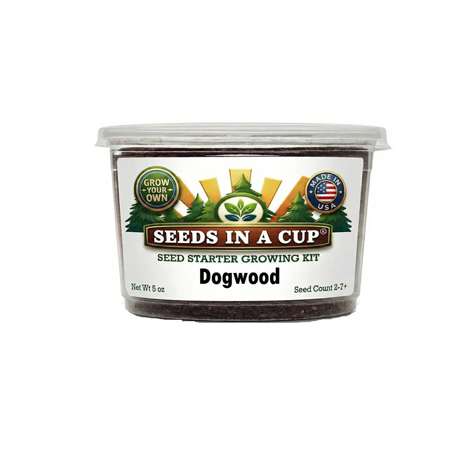 Dogwood Tree Grow Kit | Grow Flowering Dogwood from Seed | Seeds In A Cup®