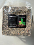 2.5 lb Inorganic Succulent Soil Mix | Fast-Draining Granular Blend for Cactus & Thick-Leaved Plants