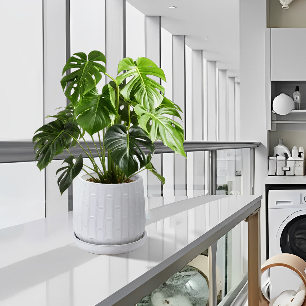 Set of 2 Ceramic Flowerpot, 7' Modern Planter for Patio, Garden, Windowsill - White