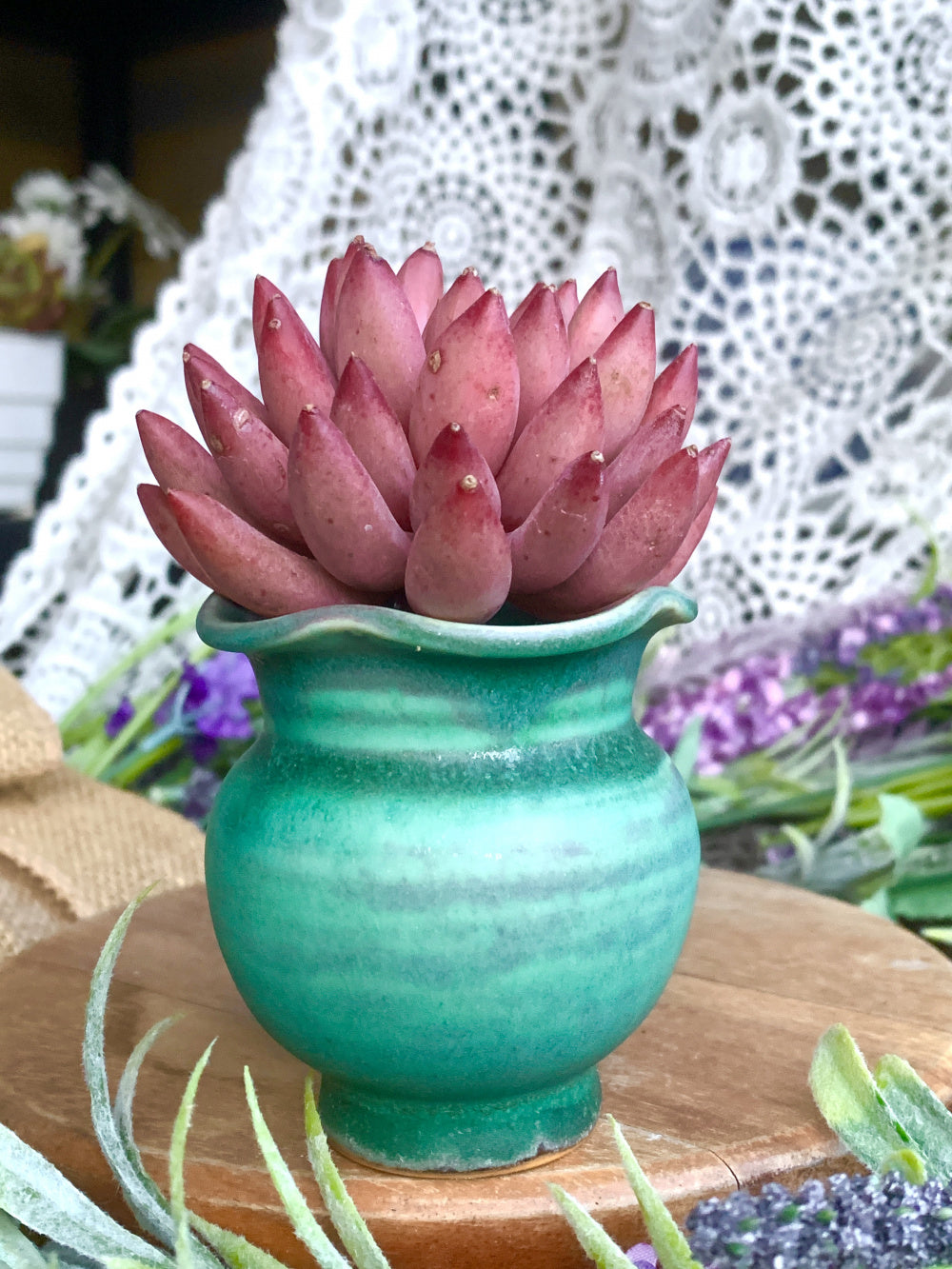 SC-12 Premium Handmade Ceramic Planter Pot - Pot Rim Diameter: 1.7"