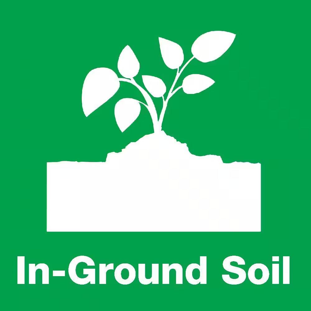 Garden Soil for Fruits & Flowers | Bumble Plants