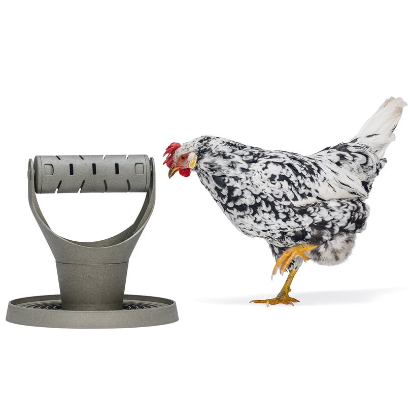 Backyard Chicken Feed Tower – Feeder Promotes Exercise and Mental Stimulation