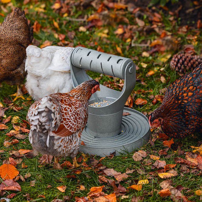 Backyard Chicken Feed Tower – Feeder Promotes Exercise and Mental Stimulation