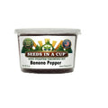 Banana Pepper Grow Kit | Grow Sweet Peppers from Seed | Seeds In A Cup®
