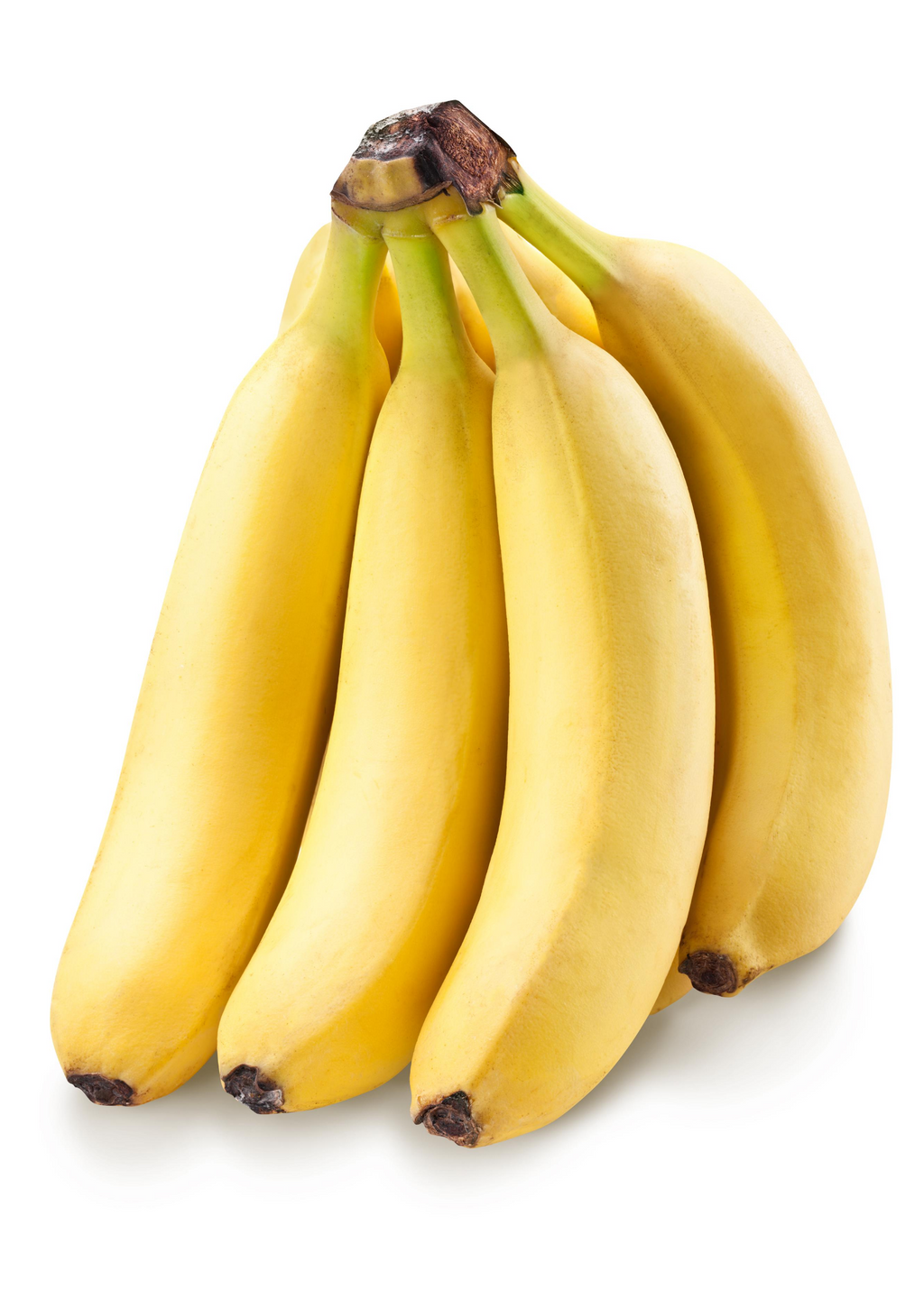 Banana 'Gran Nain' (Musa acuminata)