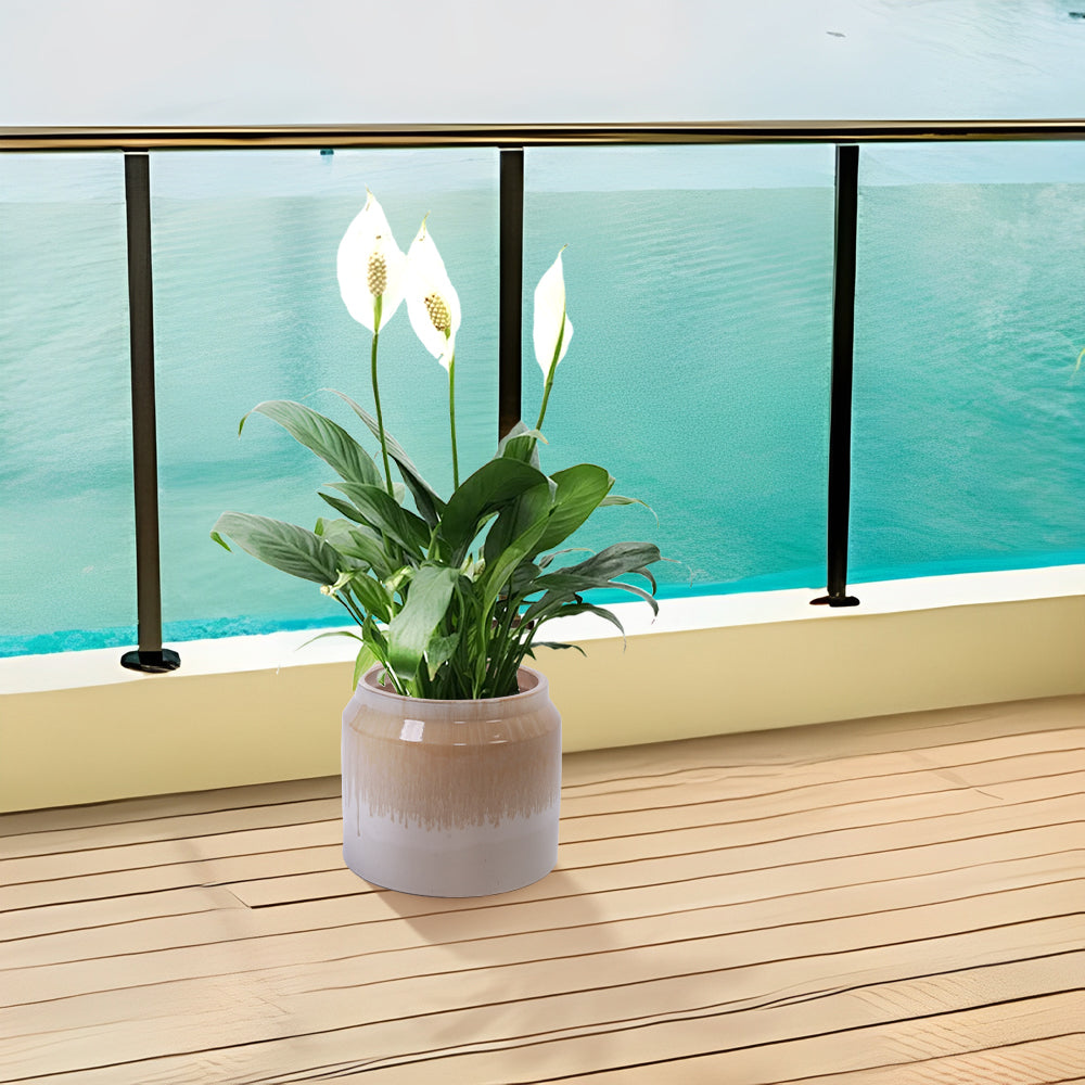 Set of 2 Gradient Ceramic Flowerpot, Modern Planter for Patio, Garden, Windowsill - White Brown