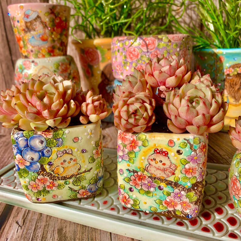 [Mother's Day Gift] Beautiful Hardiness Succulent - Echeveria 'Ben Badis' - Multiple  Rosettes Approx. 3–3.5 inches Across