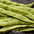Roma II Bush Bean Seeds – Heirloom, Non-GMO, Open Pollinated, Italian Flat Beans, 30 Seeds