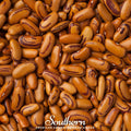 Tiger's Eye Bean (Bush) – 30 Seeds