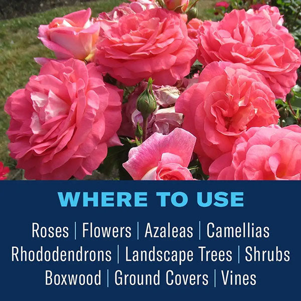 BioAdvanced® Disease Control For Roses, Flowers & Shrubs, Concentrate (32 oz.)