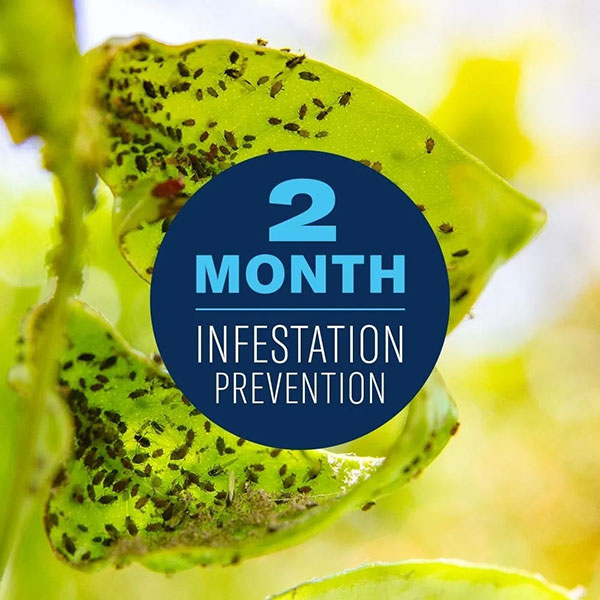 BioAdvanced® Fruit, Citrus & Vegetable Insect Control, Concentrate (32 oz.)