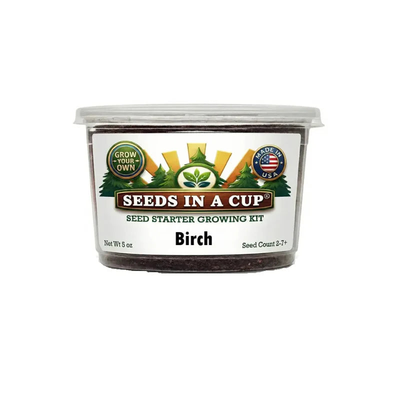 Birch Tree Grow Kit | Grow White Birch from Seed | Seeds In A Cup®