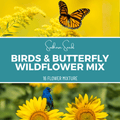 Birds & Butterfly Wildflower Seed Mix 1,000 Seeds – Attracting Birds, Bees & Butterflies, Native, Annual & Perennial, Eco-Friendly
