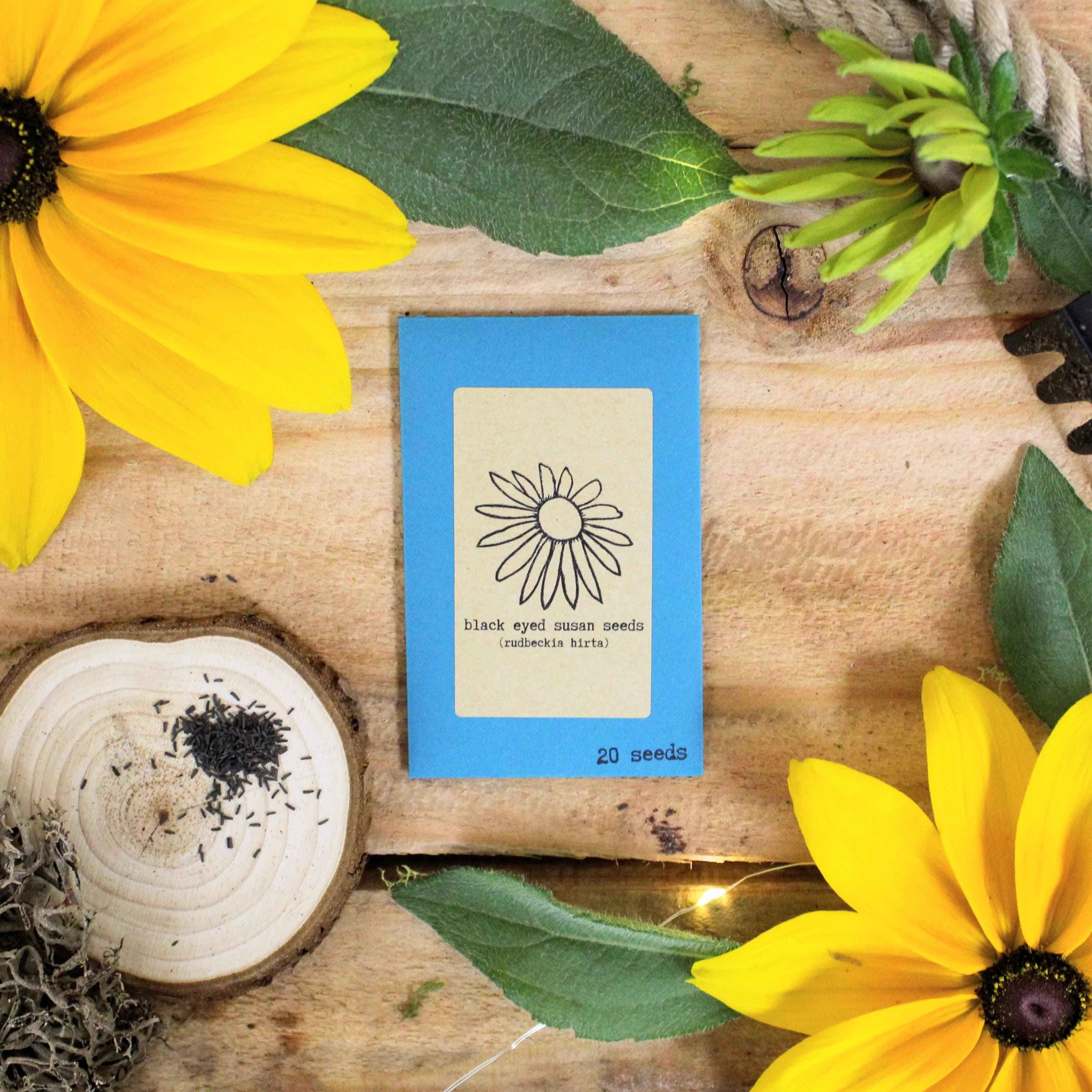 Rudbeckia Hirta "Black Eyed Susan" Seeds