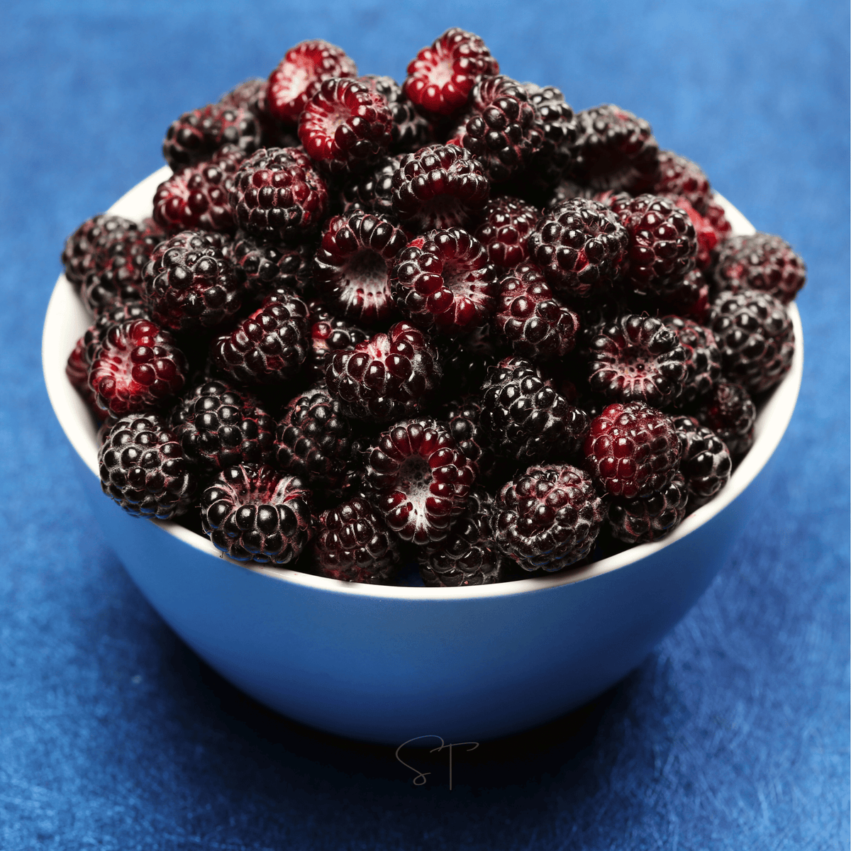 Black Raspberry Seeds – 30 Heirloom, Non-GMO, Native Fruit, Rubus occidentalis, Perennial Shrub for Jam, Pie & Dessert