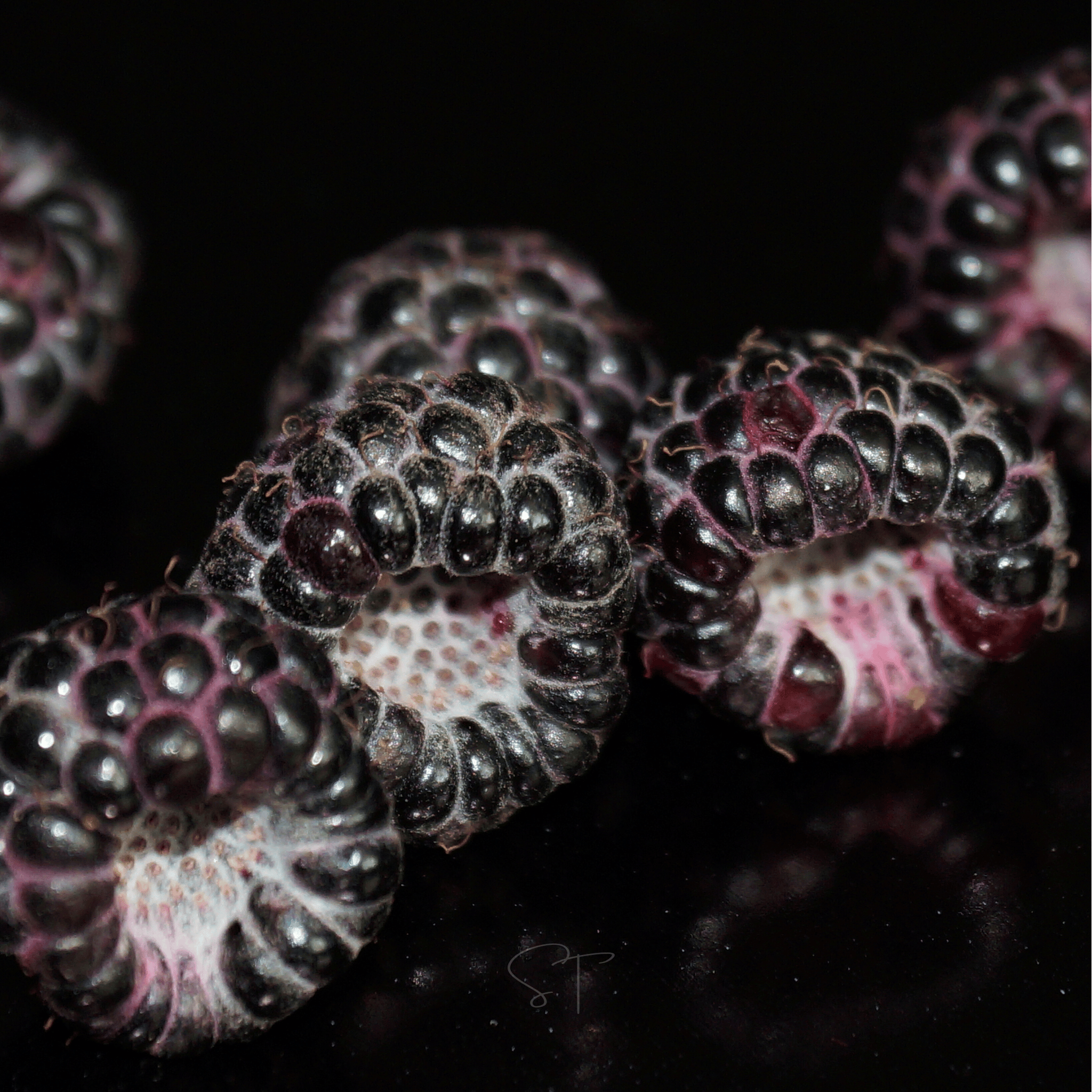 Black Raspberry – 30 Seeds