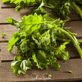 Rapini Broccoli Raab Seeds – Heirloom, Open Pollinated, Brassica rapa, Fast-Growing, Cool-Season Vegetable, 100 Seeds