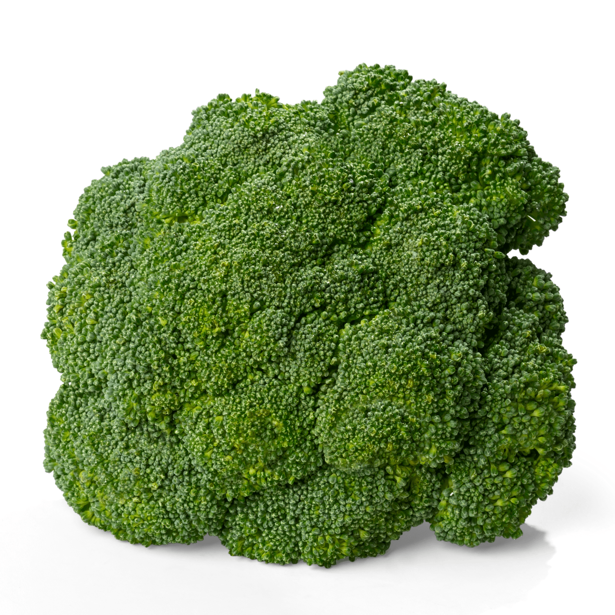 Hydra Broccoli Seeds