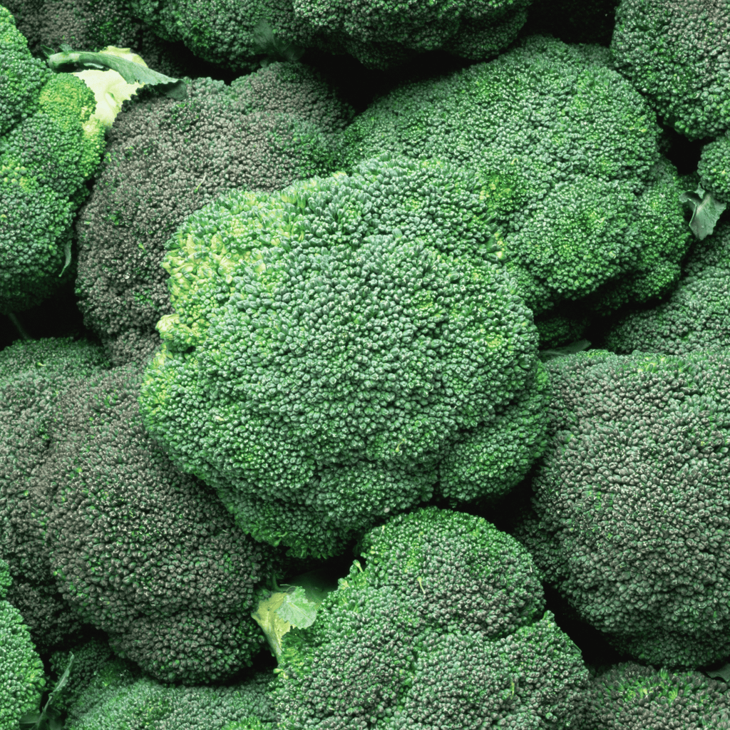 Hydra Broccoli Seeds