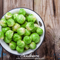 Long Island Improved Brussels Sprouts Seeds – Heirloom, Compact, Nutty Flavor, Brassica oleracea, 250 Seeds