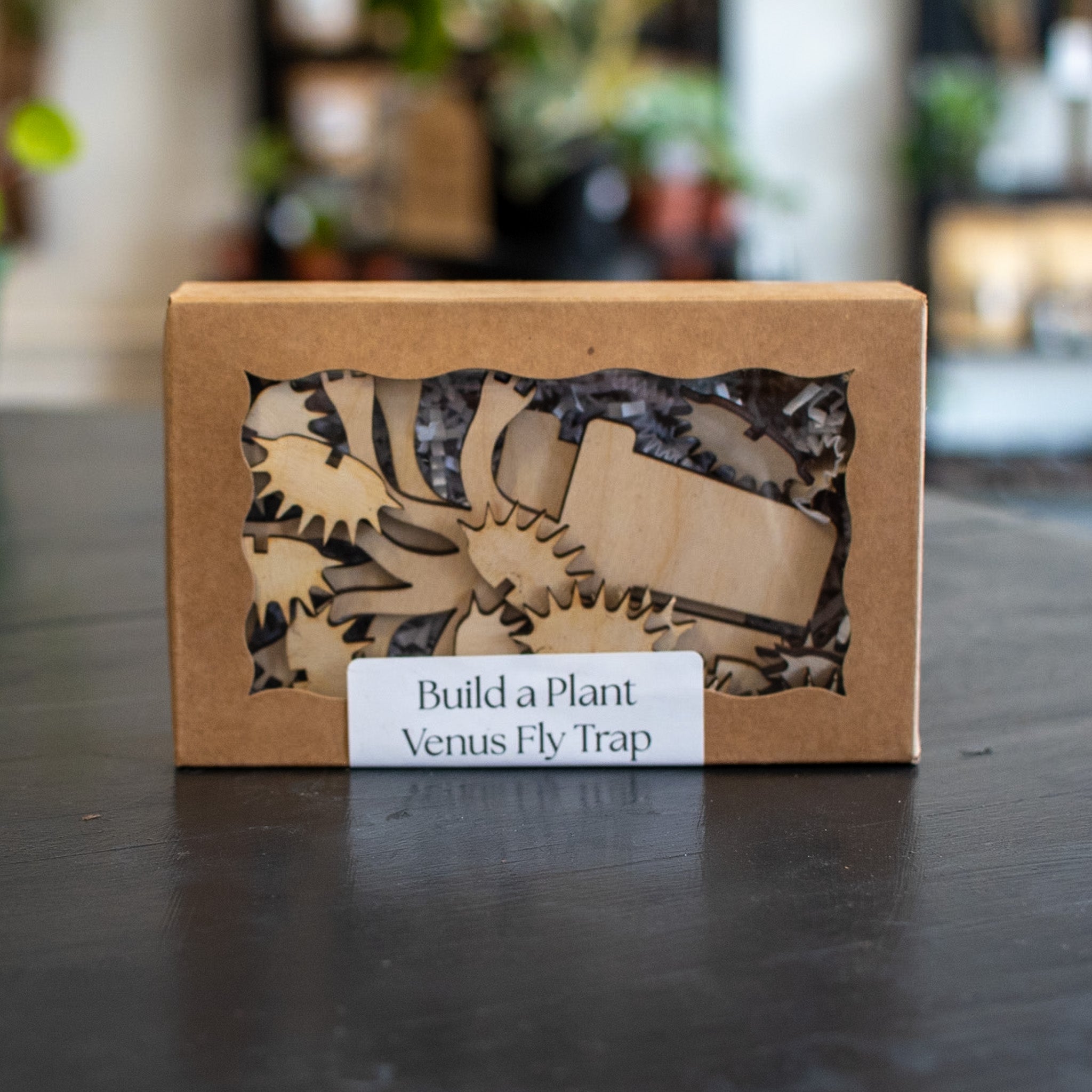 Build A Plant - Venus Fly Trap