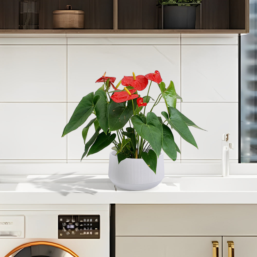 2 Pieces Ceramic Flowerpot, Modern Planter for Patio, Garden or Windowsills - Gloss White