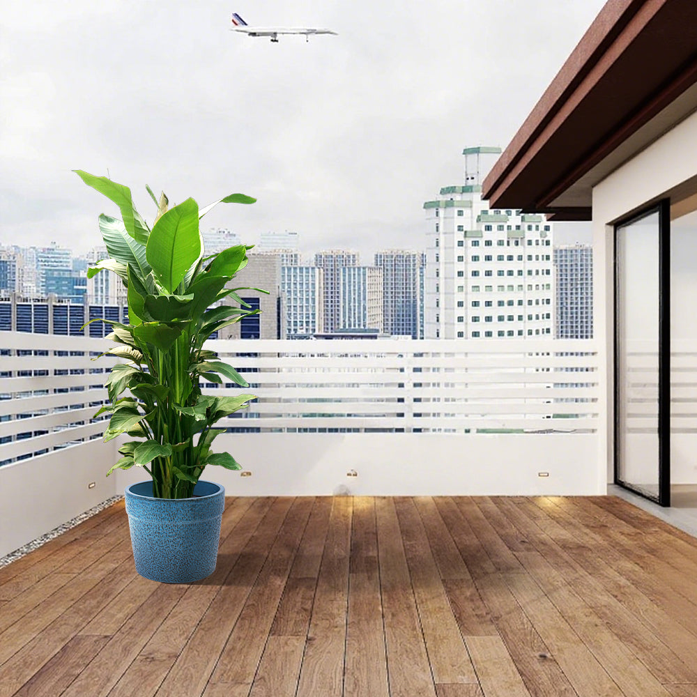 3 Pieces Ceramic Flowerpot, Modern Planter for Patio, Garden or Windowsills - Antique Blue