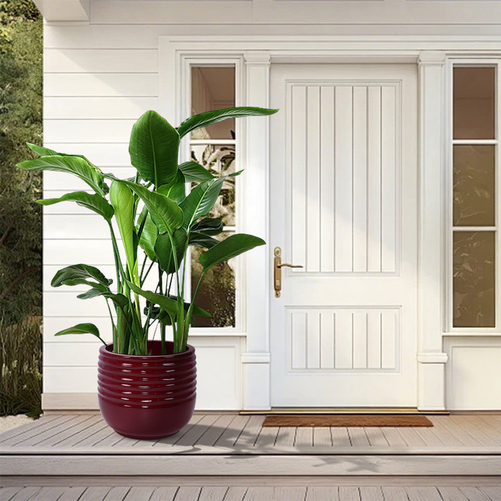 3 Pieces Ceramic Flowerpot, Modern Planter for Patio, Garden or Windowsills - Bean Paste Red