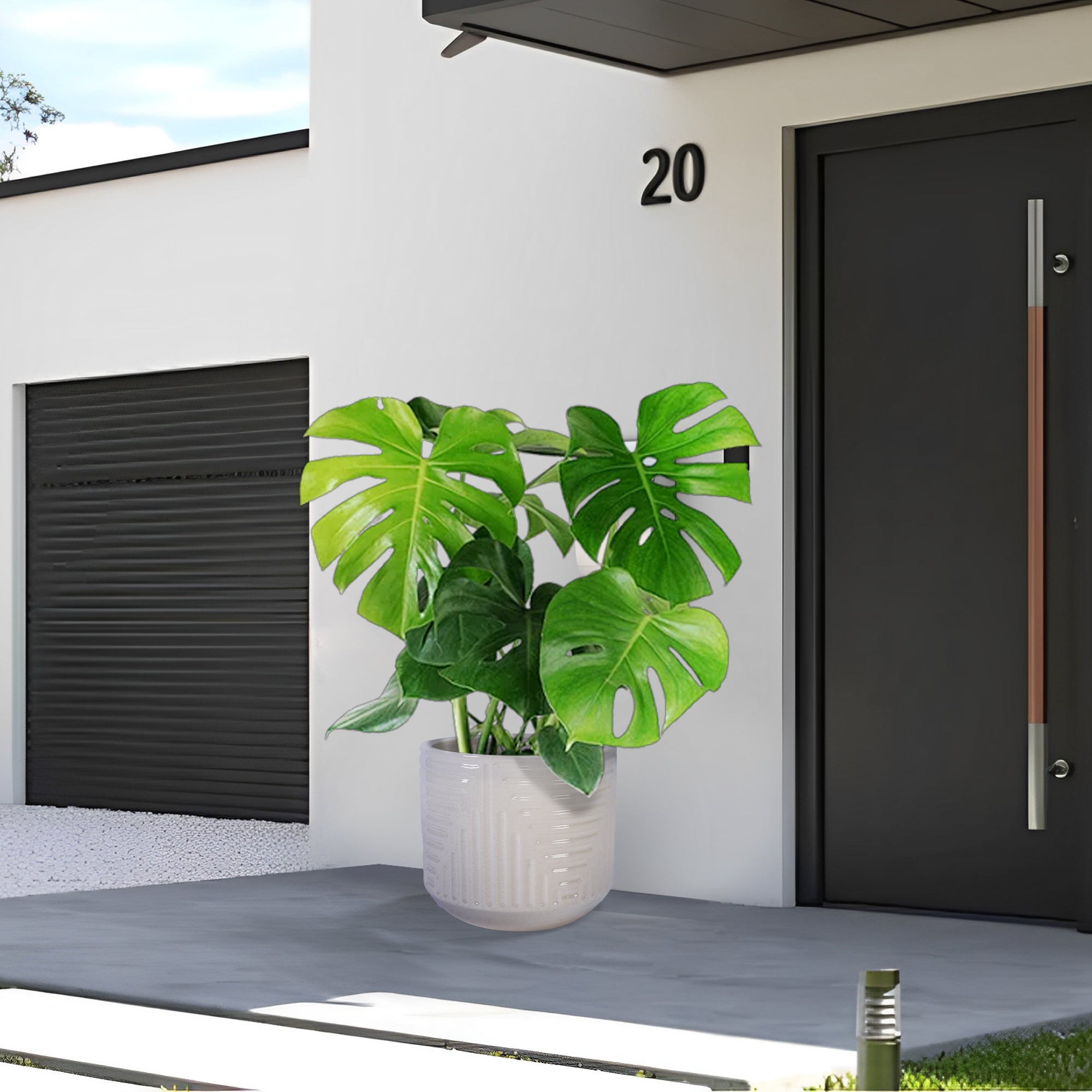 Ceramic Flowerpot, Modern Planter for Patio, Garden, Windowsill - White