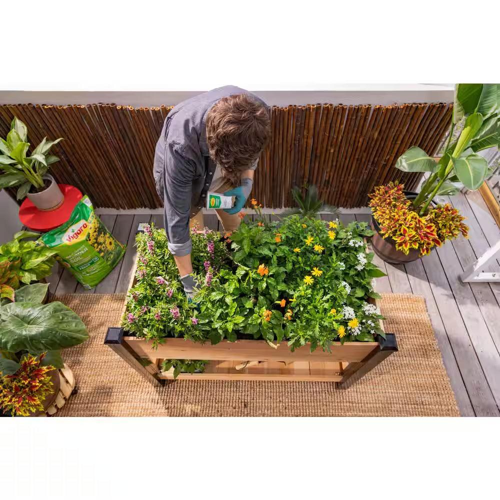 Garden Soil for Fruits & Flowers | Bumble Plants