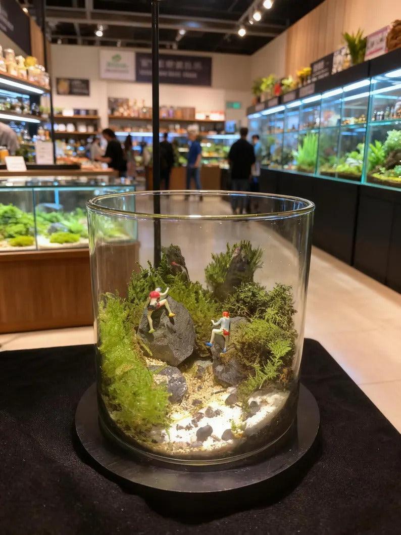 Live Moss Terrarium in Glass Jar Mini Bioactive Mossarium with Stone & Tiny Figurine Natura Desktop Ecosystem DIY Mini Garden Gift for Lover