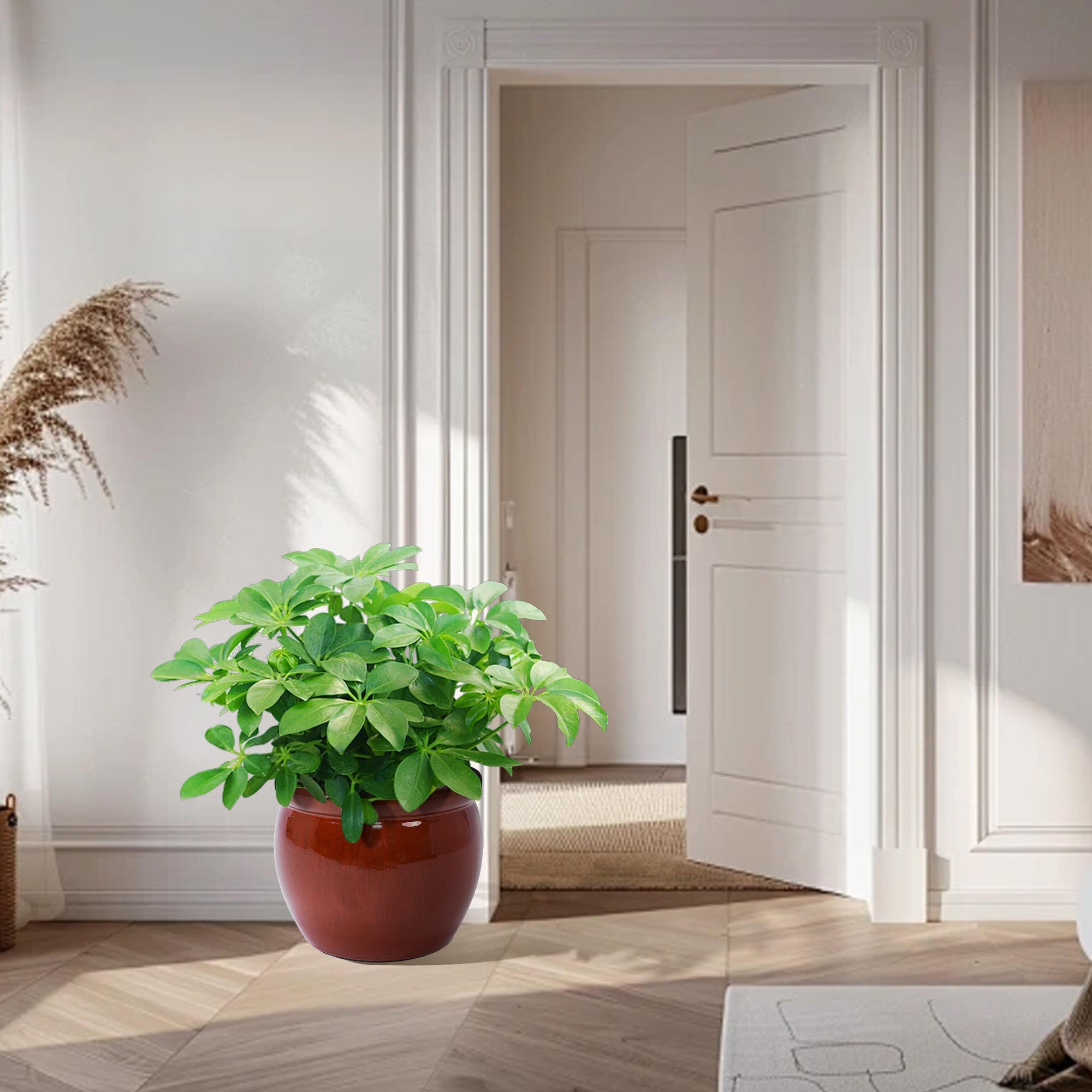 3 Pieces Ceramic Flowerpot, Modern Planter for Patio, Garden or Windowsills - Orange